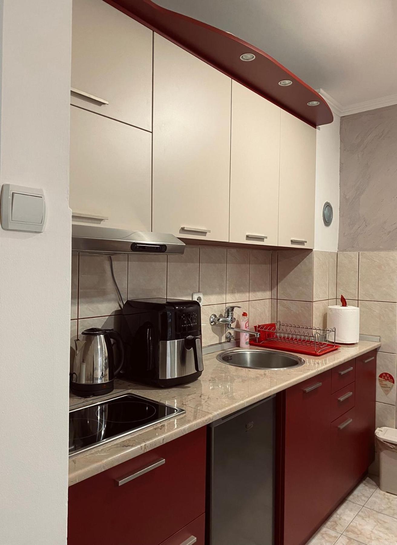 Apartman Radan M Daire Zlatibor Dış mekan fotoğraf